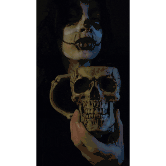 Collectible Skull Mug by US Ghost Adventures