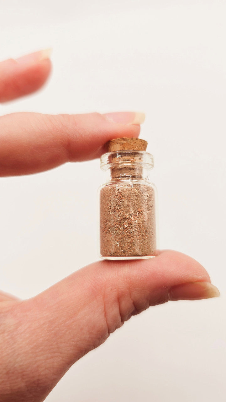 Official Lizzie Borden House Single Brick Dust Vial
