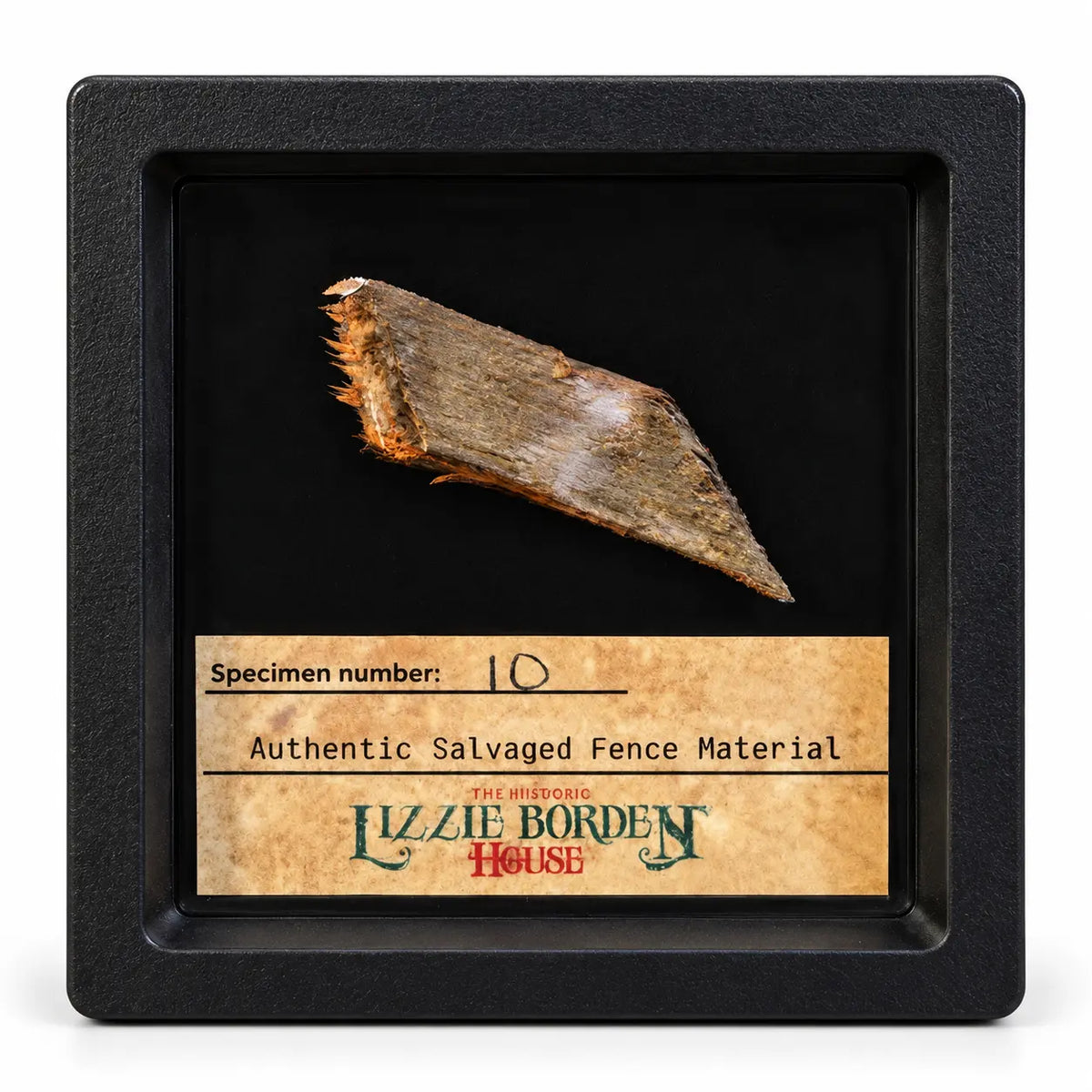 Lizzie Borden House Shadow Box Fence Fragment