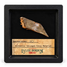 Lizzie Borden House Shadow Box Fence Fragment