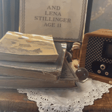 Sinister Speaker - Ghost Hunting Spirit Box Radio