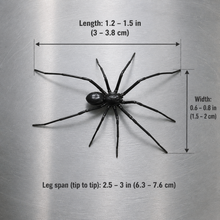 Realistic 3D Spider Magnet