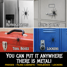 Realistic 3D Spider Magnet