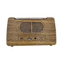 Sinister Speaker - Ghost Hunting Spirit Box Radio