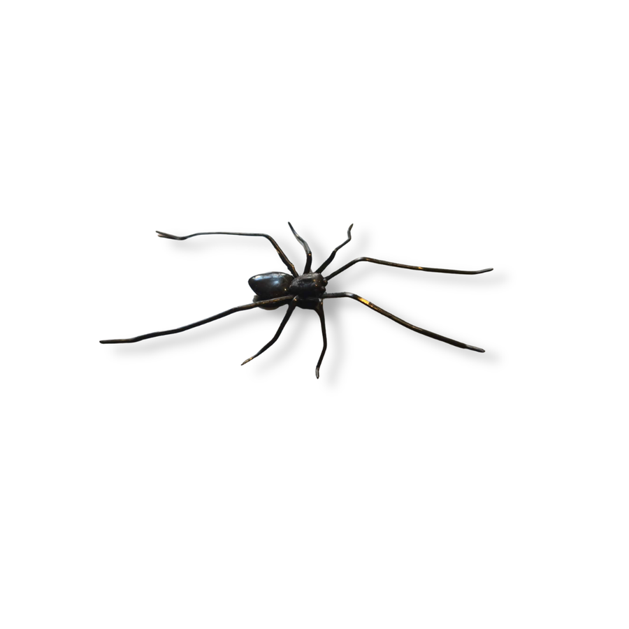 Realistic 3D Spider Magnet